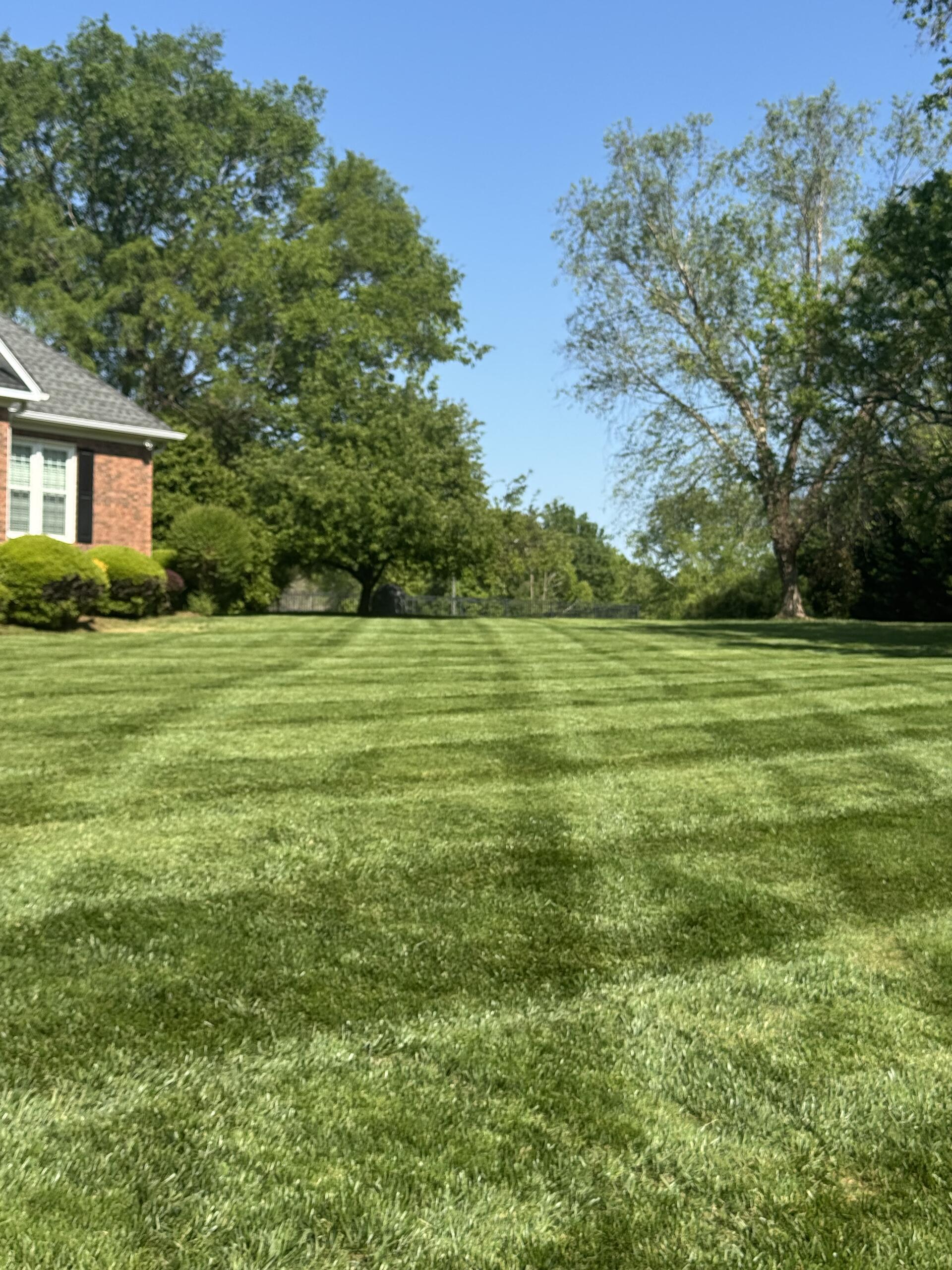 Lawn Maintenance work by Southern Turf