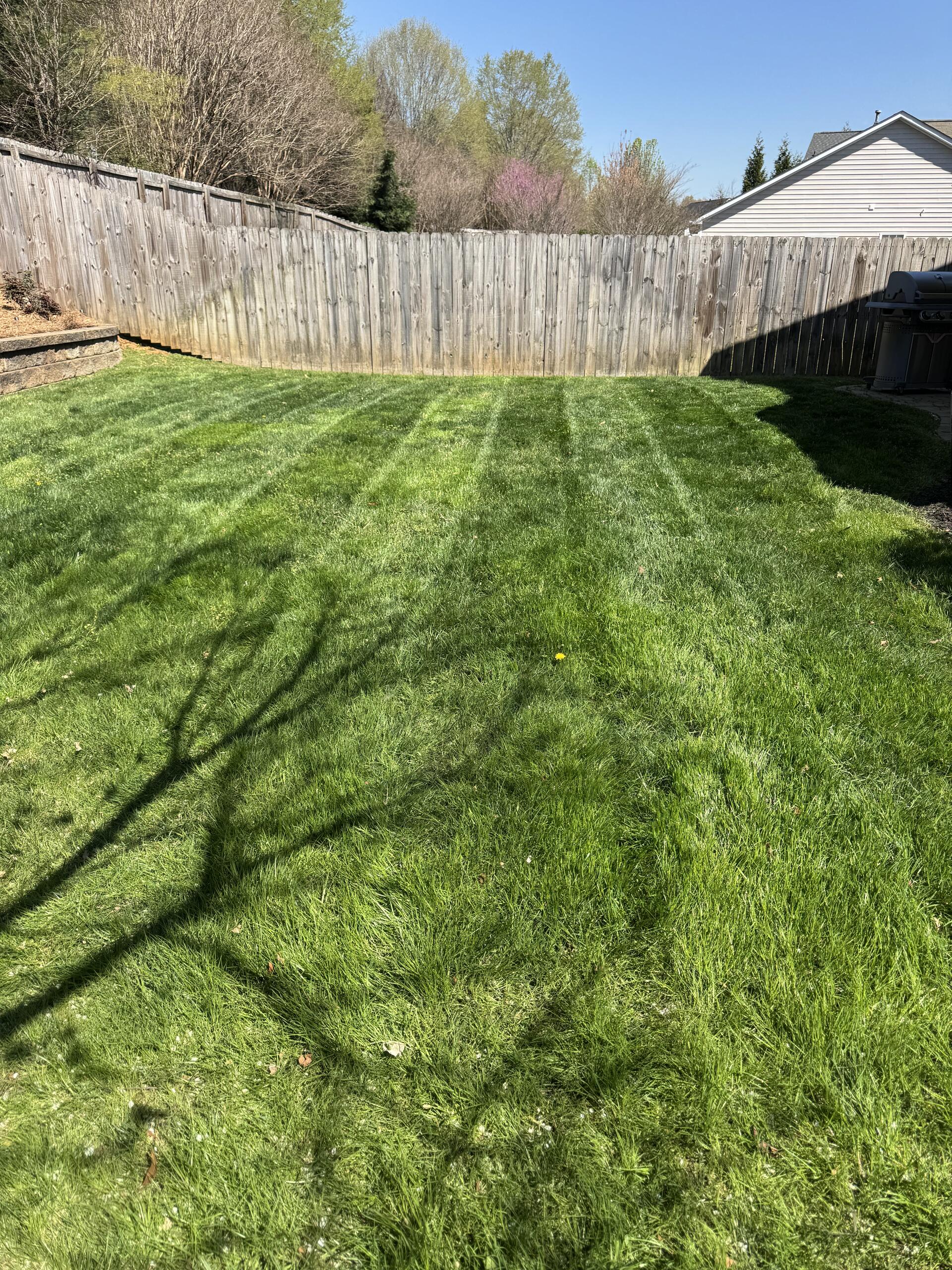 Lawn Maintenance work by Southern Turf